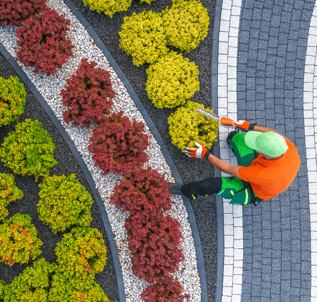 Garden maintenance